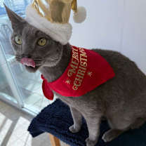 Thumbnail photo of Smokey #1