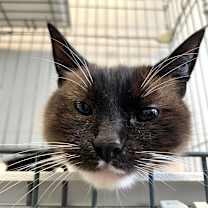 Thumbnail photo of Flora #4