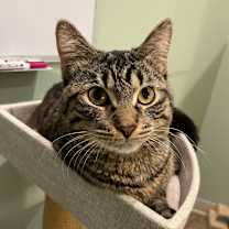 Thumbnail photo of Marco #3