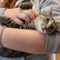 Thumbnail photo of Crumpet #1