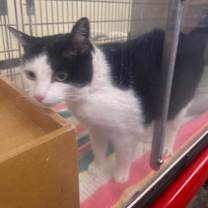 Thumbnail photo of Aylin #3