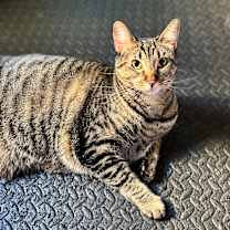 Thumbnail photo of Sasha #3