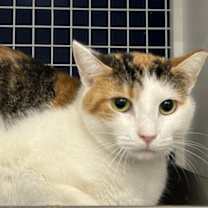 Thumbnail photo of Marley cr #1