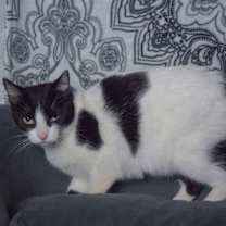 Thumbnail photo of Holly #2