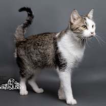 Thumbnail photo of Toe Beans #4