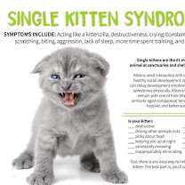 Thumbnail photo of Hammy #3