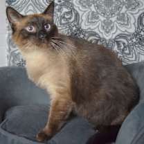 Thumbnail photo of Nimbus #3