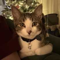 Thumbnail photo of August #4