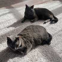 Thumbnail photo of Jake and jacob #1