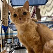 Thumbnail photo of Tipper Lee w/ Rosie Marie #2