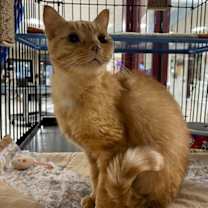 Thumbnail photo of Tipper Lee w/ Rosie Marie #3