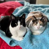 Thumbnail photo of Patty Poe sf bond w Lucy #1