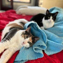 Thumbnail photo of Patty Poe sf bond w Lucy #3