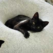 Thumbnail photo of Porter #1