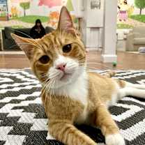 Thumbnail photo of Ernie #1