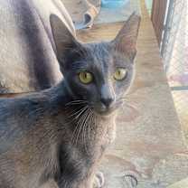 Thumbnail photo of Gemma Lee_Str-112525 #2