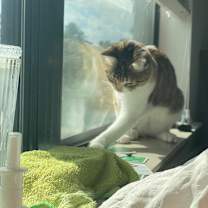 Thumbnail photo of Mia #3