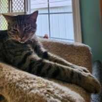 Thumbnail photo of Blinken #4