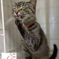 Thumbnail photo of Billy Jo #2