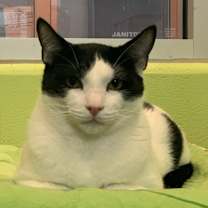 Thumbnail photo of Doogie #2