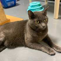 Thumbnail photo of Kayla #1