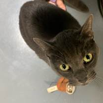 Thumbnail photo of Kayla #2