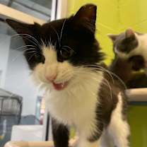 Thumbnail photo of Astrid #4