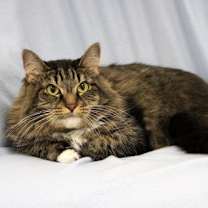 Thumbnail photo of MaryAnna #4