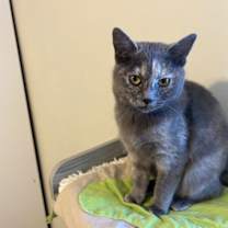 Thumbnail photo of Latte #4