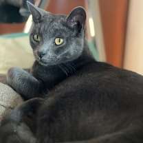 Thumbnail photo of Nimbus Cloud #1