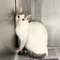 Thumbnail photo of Vannie #1