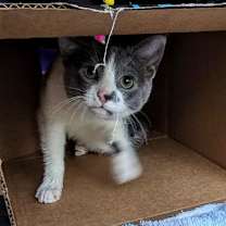 Thumbnail photo of Charlotte #4