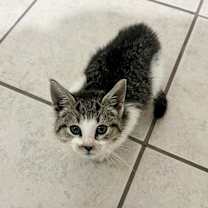 Thumbnail photo of Peanut #4