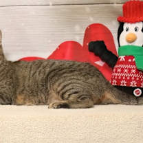 Thumbnail photo of Lilly Joel #1