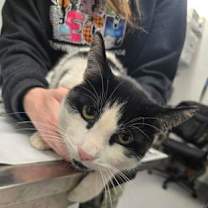 Thumbnail photo of Amy Lee #3