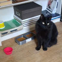 Thumbnail photo of Lord Flufferton - Very affectionate Courtesy Post #3