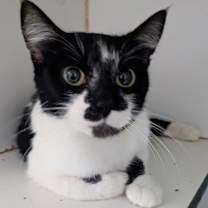 Thumbnail photo of Louella #2