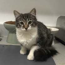 Thumbnail photo of Blossom #1