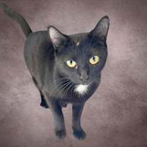 Thumbnail photo of Greta #1