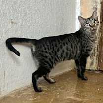 Thumbnail photo of Evie Napa #1