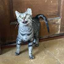 Thumbnail photo of Evie Napa #4