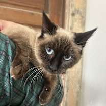 Thumbnail photo of Natasha Napa #2