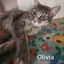 Thumbnail photo of Olivia #1