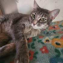 Thumbnail photo of Olivia #3