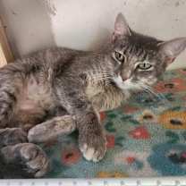 Thumbnail photo of Olivia #4