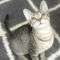 Thumbnail photo of Gretchen #2