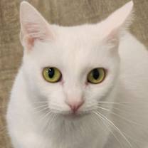 Thumbnail photo of Libby #3