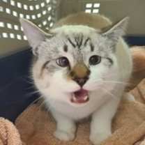 Thumbnail photo of Sebastian #3