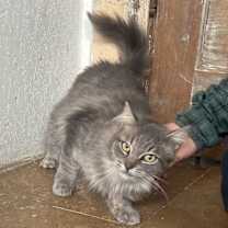 Thumbnail photo of Babs Napa #1