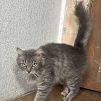 Thumbnail photo of Babs Napa #2